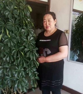 QQ截图20180507171730