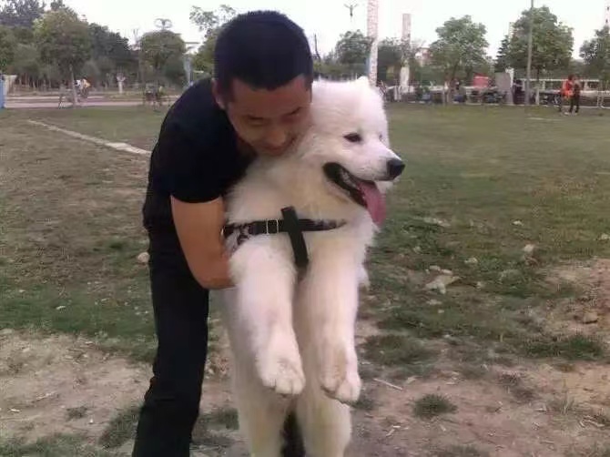微信图片_20240307103818