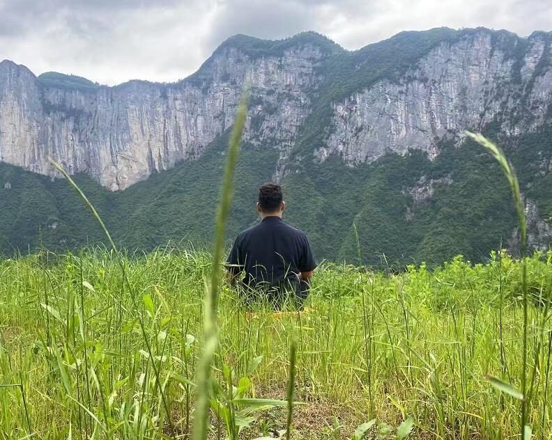 QQ截图20260416113543