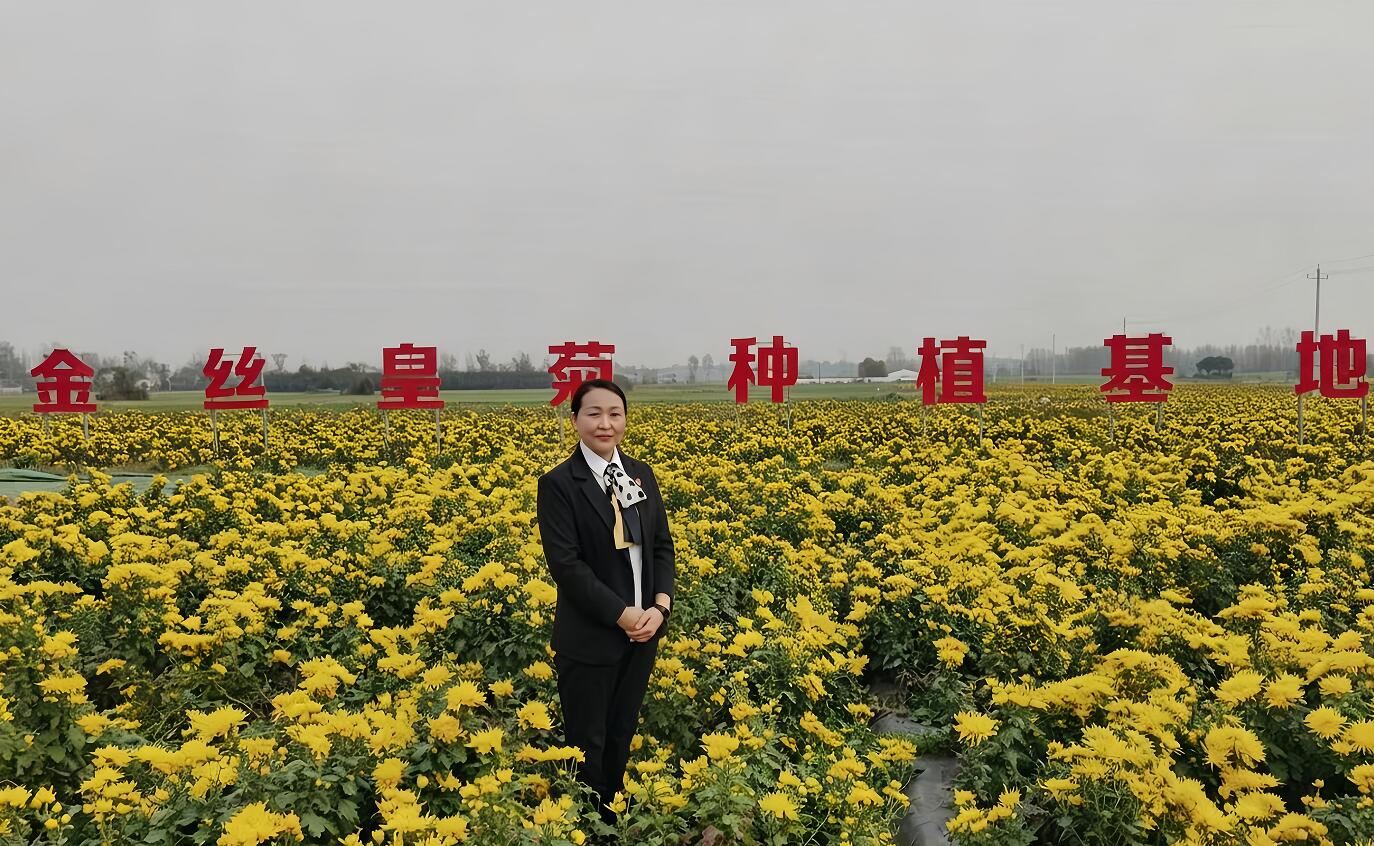 QQ截图20260526111938